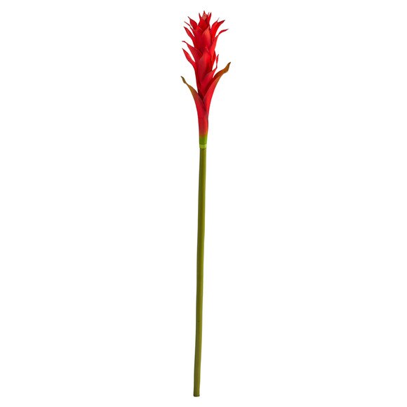 28 Mini Star Bromeliad - SKU #2362 - 3